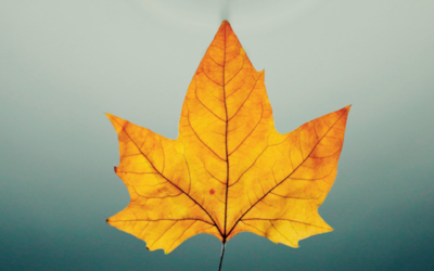 5 Digital Marketing Trends for Fall